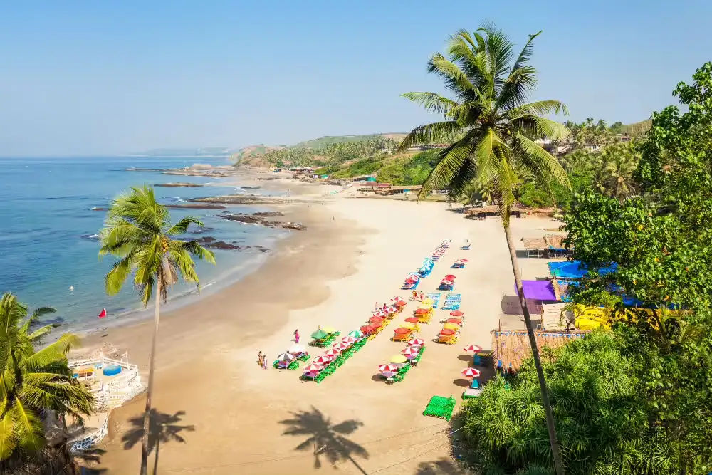 Baga Beach Goa for First-Time Visitors